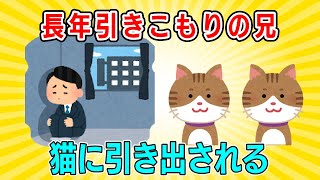 【2ch NNN】引きこもりを引き出した猫