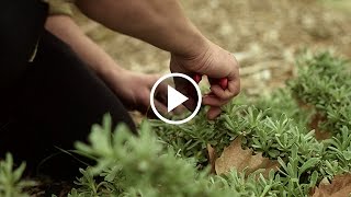 La Trobe Wildlife Sanctuary - La Trobe's Outdoor Laboratory