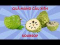 khám phá 101 loại quả learn 101 types of fruits