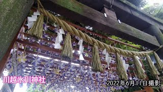 【4K】川越氷川神社・風車・絵馬トンネル（2022年6月11日）