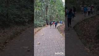 ഒന്ന് കറങ്ങാൻ പോയതാ... #shortsfeed #shorts #school #trending #video