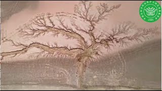 Look! In Dagze Co, Nagqu, Tibet , China , the water washes out the magical earth tree!😍