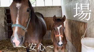 第3・第4グループの親子が厩舎に帰ってきました☘️☘️