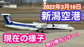 2022年3月16日 新潟空港 現在の様子 休憩時間に新潟散歩 夢のジェット機