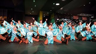 [4K]近畿大学よさこい連“洗心”　龍馬よさこい2017 2日目 JR京都駅