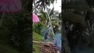 തലനാരിഴക്ക് രക്ഷപെടൽ എന്നൊക്കെ പറയുന്നത് ഇതായിരിക്കും അല്ലെ?😳😳