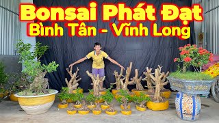 Phát Đạt | #0939707168 | Lô Ổi Bonsai Đẹp Giá Mềm, Khế Già, Trang Xưa, Trang Bonsai, Chiếu Thủy Nu..