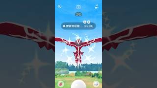 伊裴爾塔爾色違Get！【Pokémon Go】