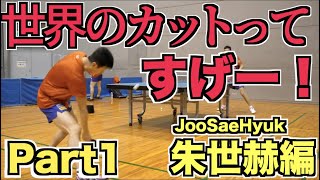 【卓球/탁구】世界のカットってすげー！世界を代表するカットマン朱世赫(Joo SaeHyuk)のカット練習【琉球アスティーダ】