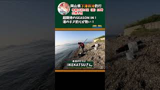 超期待のSEASON IN！渚のチヌ釣りが熱い！