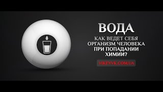 Организм человека  Попадание химии, поведение организма Эксперт В. Корженевский и Диетолог Б. Скачко