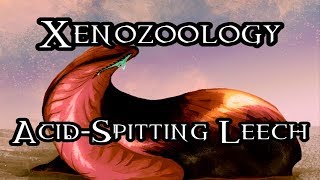 Xenozoology: Acid-Spitting Leech - 40K Theories