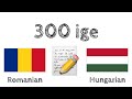 300 ige + Olvasás és beszédértés: - Román + Magyar - (anyanyelvi beszélő)