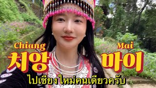 혼자 떠난 치앙마이 도이수텝 사원 갔다가 도이뿌이 마을까지 Chiang mai Vlog🇹🇭 ep.3 ไปเชียงใหม่คนเดียวครับ