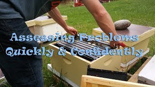 Assessing Problems Quickly & Confidently