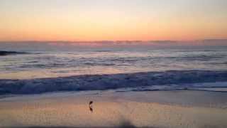 Pause - Breathe - Repeat
