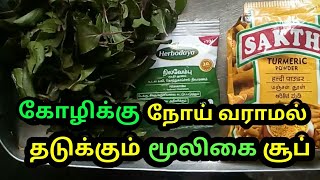 கோழிக்கு இந்த சூப் கொடுத்தா நோய்கள் வராது | Medicine to increase disease resistance for Chicken