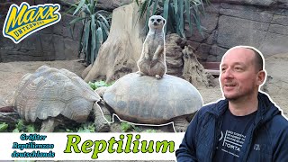 Reptilium | Größter Reptilienzoo in Deutschland | Landau Pfalz | 2024