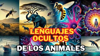 Top 6 Lenguajes Ocultos de los Animales