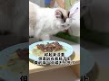 猫狗配餐｜杜莲 羔羊小牛肉