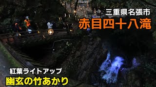 三重県の紅葉の名所ライトアップ「赤目四十八滝」幽玄の竹あかり