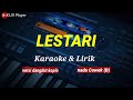 LESTARI || Karaoke & Lirik || versi dangdut koplo || nada cowok (B)