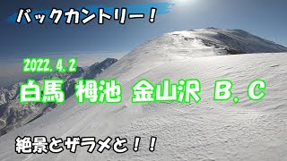 【バックカントリー】 白馬 栂池 金山沢 2022.4.2