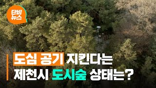 [단비리포트] 도심 공기 지킨다는 도시숲, 관리 제대로 하나?