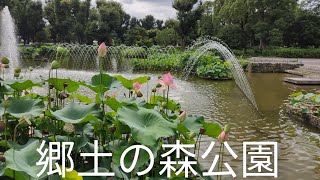 【前編】府中市の郷土の森公園を散策する。[Part 1] Take a walk through Fuchu City's Kyodonomori Park.