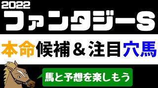 【ファンタジーステークス2022 予想】注目馬紹介 本命候補と注目穴馬【バーチャルサラブレッド・リュウタロウ/競馬Vtuber】