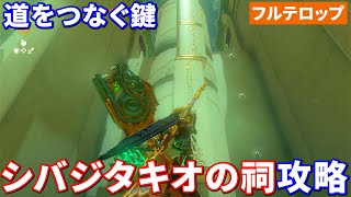 【ティアキン】シバジタキオの祠攻略　道をつなぐ鍵(フルテロップ)