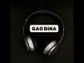 gao bina