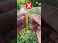 DIY FISHING TACKLE HOW TO SET FISHING BAIT How to Tie Fishing Knot Using Tackle #fishing #tutorial