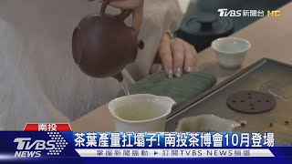 茶葉產量扛壩子! 南投茶博會10月登場｜TVBS新聞 @TVBSNEWS01