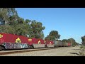 nr121 and nr10 on 3ps7 freight hazelmere