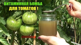 ВИТАМИННАЯ БОМБА ДЛЯ ТОМАТОВ ИЗ КУХОННЫХ ОТХОДОВ