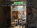 군대 3사단 특징 shorts 군대