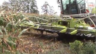 Claas Jaguar 970