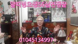 말띠병오생56살전쟁은끝났다.동서남북달려봐요#전화사주잘보는곳