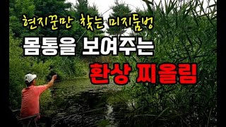 붕어낚시  환상적인 둠벙에서 몸통을 벋는 찌올림