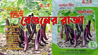 উচ্চফলনশীল বেগুন চাষের জগতে এক-নাম | পার্পল কিং | বীজ নিতে চাইলে কল করুন | Purple King Eggplant🍆