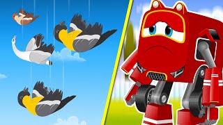 Birds falling in the city and Supercar Rikki trying to save them all | Kids Cartoon