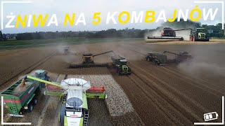 Opolskie w Akcji ! Wielkie Żniwa na 5 Kombajnów! 🇵🇱 UR SCHEGA \u0026 GR MATEJKA (Big Harvest in Poland)