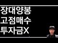 도지코인 긴급속보 d day 중대발표 단독공개 오늘밤