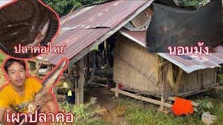 นอนนากับหมู่ ยามเบ็ดปาค่อใหย่ในคืนฝนตกริน | ນອນນາກັບຫມູ່ ຢາມເບັດປາຄໍ່ໃຫຍ່ໃນຄືນຝົນຕົກ