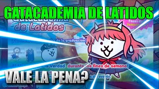 Noticias de The Battle Cats en español Evento Gatacademia de latidos (Mas de 500 friskas Gratis)