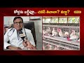 bird flu alert expert answers all your questions కోళ్లకు బర్డ్‌ఫ్లూ.. చికెన్ తినకూడదా local18