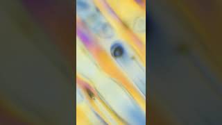 Melting ice under polarized light microscope 400x 1000x HD