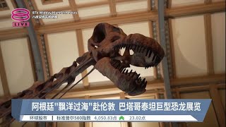 模拟巴塔哥泰坦巨龙骨架  伦敦首度展史前巨龙化石【2023.03.31 八度空间午间新闻】