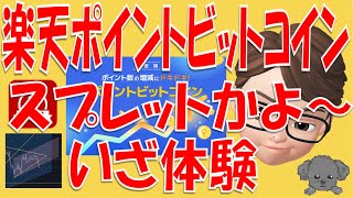 【063】楽天ビットコイン１か月ドキドキ体験してみた